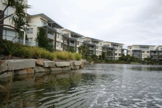 img 7415